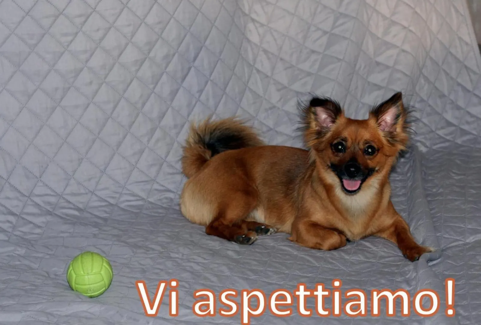 Pink Fox - Family Apartment - Portici